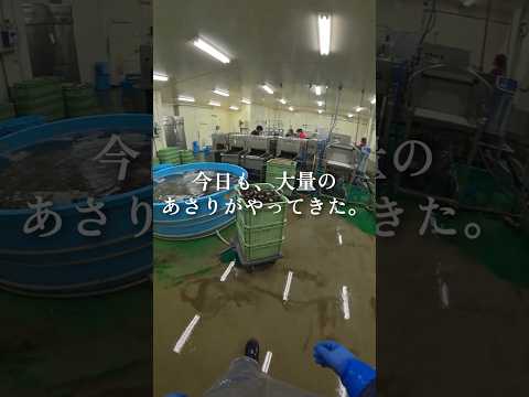 あさり工場の動画サムネイル
